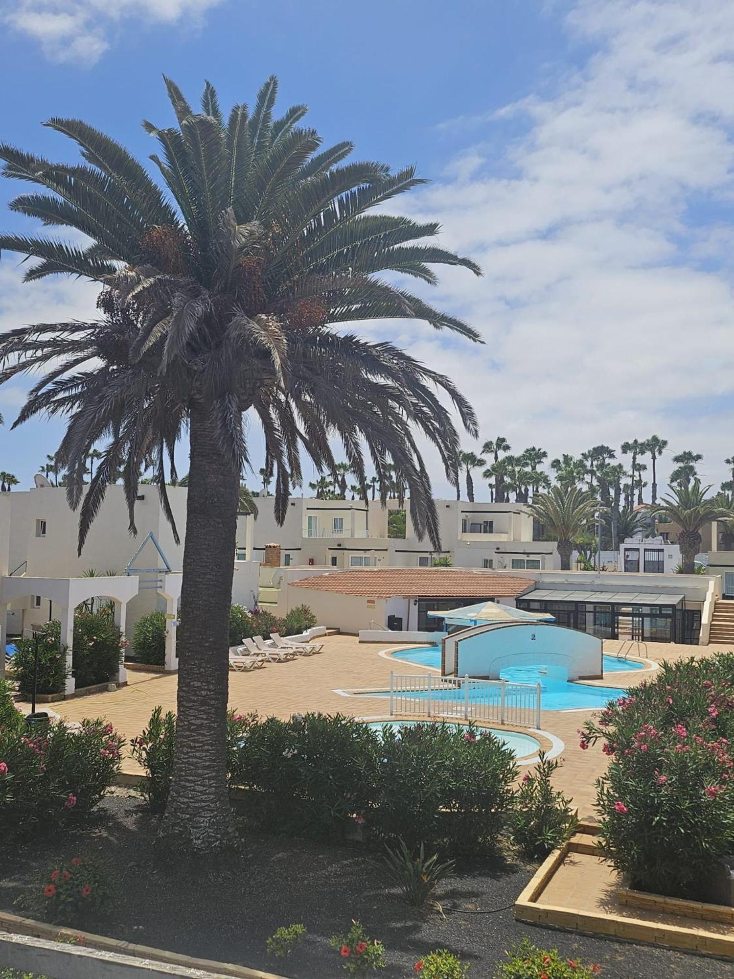 New Alisios Playa Διαμέρισμα Κοραλέχο Εξωτερικό φωτογραφία
